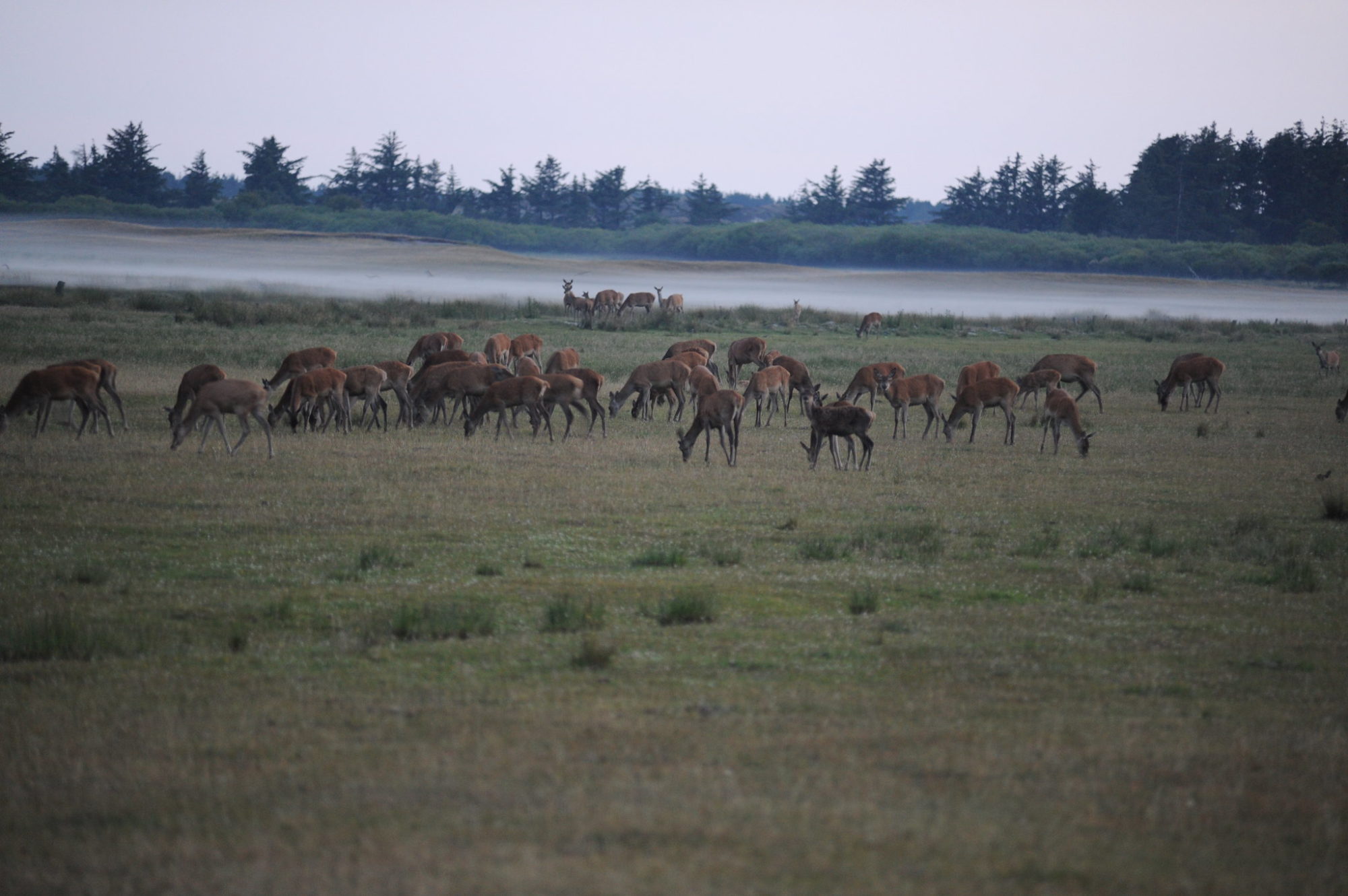 19168020885_1240fe6a1f_k